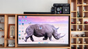 索尼（SONY）K-55XR70  22bit灰階控制 XR芯片索尼平板電視7系彩電55吋家用液晶Miniled電視機 120hz高刷 55英寸 曬單實(shí)拍圖