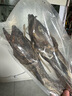 閘坡船足干淡曬柴魚(yú)干海產(chǎn)干貨去頭財魚(yú)才魚(yú)干鱈魚(yú)干棒棒魚(yú)硬板柴魚(yú)漁家 【帶頭】淡曬柴魚(yú)條  500g 曬單實(shí)拍圖