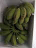 帆兒莊園新鮮廣西小香蕉水果小米蕉蕉新鮮水果整箱當季鮮蘋(píng)果蕉自然熟粉蕉 4.5kg 曬單實(shí)拍圖