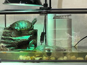 REPTIZOO新派寵物爬蟲加熱燈罩爬寵陸龜曬背燈保溫uva防燙uvb燈架 上下夾-固定燈罩支架 曬單實拍圖