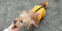 楚克奇（CHUKCHI）狗狗衣服秋冬裝中型犬大型犬柯基大狗寵物服裝兩腳衣反光沖鋒衣 黃 XL【建議14-17斤左右】 曬單實拍圖