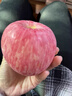 正宗陜西洛川紅富士蘋(píng)果高端當季新鮮脆甜冰糖心蘋(píng)果孕婦水果 凈重4.5斤【85mm+】 曬單實(shí)拍圖