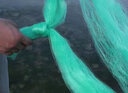魚(yú)汐格 魚(yú)網(wǎng)漁網(wǎng)粘魚(yú)優(yōu)質(zhì)細軟絲綠絲三層魚(yú)我那個(gè)沉網(wǎng)掛魚(yú)網(wǎng)鯽魚(yú)網(wǎng)鰱魚(yú) 綠絲三層沉網(wǎng)1.5米高 3指 50米長(cháng) 曬單實(shí)拍圖