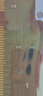 戴爾（DELL）服務(wù)器工作站RECC內存條 R710 R720 R730 R740 RDIMM內存 64G ECC PC4 DDR4 3200R 服務(wù)器內存 曬單實(shí)拍圖