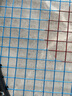 YONEX/尤尼克斯  BG66UMCH 球拍線 羽毛球線 高彈性yy 藍(lán) 曬單實拍圖