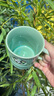 共禾京品（JINGREPUBLIC）中國風(fēng)青瓷竹節泡茶杯陶瓷馬克杯帶茶漏辦公室茶水分離杯生日禮物 青瓷竹節茶水分離杯-龍紋 曬單實(shí)拍圖