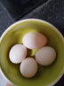 保卫蛋蛋新鲜鸽子蛋农家孕妇宝宝杂粮喂养送礼礼盒端午节送礼 鸽子蛋20枚 实拍图