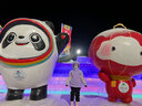 Vector兒童滑雪服單板分體雪衣滑雪褲套裝防水防風保暖中大童滑雪裝備 浪漫精靈+淺紫色 150cm 曬單實拍圖