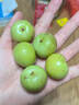 優(yōu)味集現(xiàn)貨油甘果大全多品種可選新鮮余甘果油甘子果滇橄欖油柑果 2500g凈重裝（60%選擇-超劃算） 商超A+級(jí)大果 曬單實(shí)拍圖