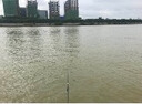 AFW綁好的魚線尼龍斑點(diǎn)魚線主線組套裝超強(qiáng)拉力隱形漁線套裝隱形魚線 5.4米6卷裝（子線夾款） 1.5號(hào) 曬單實(shí)拍圖