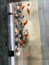 森森（SUNSUN）超白玻璃魚缸桌面客廳生態(tài)斗魚金魚烏龜缸造景懶人養(yǎng)魚水草缸 超白裸缸150x110x130mm 曬單實拍圖