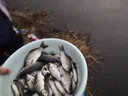 鯉躍 主線(xiàn)組 綁好的成品線(xiàn)組臺釣魚(yú)線(xiàn)套裝主線(xiàn)子線(xiàn)無(wú)魚(yú)鉤無(wú)魚(yú)漂組合 6.3米 兩卷 3.5號 曬單實(shí)拍圖