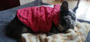 DADAGOU寵物狗狗衣服斗牛犬棉衣法斗巴哥棉馬甲沙皮胖狗衣服冬裝加絨保暖 斗牛格子棉衣 大紅 XXL-胸圍68背長38 曬單實拍圖