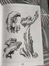 百石圖譜 嶺南美術(shù)出版社 陳金章 著 著 書(shū)籍 曬單實(shí)拍圖