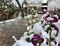 融雪劑庭院陽(yáng)臺環(huán)保除雪劑家用小區道路化雪除冰劑25kg顆粒氯化鈣 5斤桶裝【高端庭院融雪劑】 曬單實(shí)拍圖