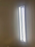 三雄极光 T8灯管led双端节能灯管工程灯管 长1.2米18W日光色6500k 实拍图
