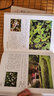 常見(jiàn)園林植物識別圖鑒 第2版 曬單實(shí)拍圖
