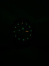 雷美諾時（Luminox） 太平洋潛水員3121紫色手表男200米防水石英氚光3123魯美諾斯3125 XS.3121.BO新款 曬單實拍圖