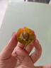 正宗四川高山脆紅李5斤新鮮水果現摘汶川脆甜茵紅李空心脫骨李子Y 3斤【小果10-15g】 曬單實(shí)拍圖