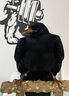 其他家紅嘴山鴉飼料鳥(niǎo)食專用鴉科通用白頸烏鴉亮毛肥膘顆粒高鈣營(yíng)養(yǎng)鳥(niǎo)糧 五袋裝【買(mǎi)3 送2】吃完還想要 曬單實(shí)拍圖