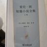 愛(ài)倫·坡短篇全集(漢譯世界文學(xué)2·類(lèi)) 曬單實(shí)拍圖