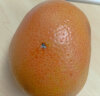 沙窝曙光（shawoshuguang）进口红心西柚爆汁红肉柚子纯甜红柚子 2斤200-300g/个（约4个） 实拍图