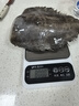 尚致鰈魚(yú)身碟魚(yú)格陵蘭比目魚(yú)深海魚(yú)中段鴉片魚(yú)整條鰈魚(yú)頭海鮮禮盒 【5條獨立裝】鰈魚(yú)身 4000g 曬單實(shí)拍圖