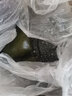 林中山 新鮮海帶頭鹽漬海帶厚片昆布海帶絲結海白菜干貨 凈重5斤 曬單實(shí)拍圖