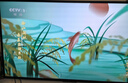 飛利浦（PHILIPS）65英寸MiniLED游戲電視機(jī)QLED量子點(diǎn) 調(diào)光護(hù)眼3+64G智能平板65PML8799/T3一級(jí)能效政府補(bǔ)貼20% 曬單實(shí)拍圖