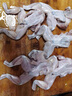 海升東 牛蛙 美味現(xiàn)殺真空保鮮牛蛙新鮮牛蛙速凍大個(gè)肉腿安全健康 高品質(zhì)牛蛙6斤裝（6-12只） 曬單實(shí)拍圖