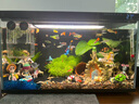 水泊龍魚(yú)缸換水軟管潛水泵過(guò)濾桶進(jìn)出pvc水管抽水軟管水族用品氧氣管 茶色【長(cháng)1米】?jì)葟?mm外徑12mm 曬單實(shí)拍圖