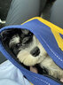 日本道格便攜外出寵物背包貓包狗包泰迪外帶包袋子手提拎包 藍色貓咪狗狗都可以用 均碼 曬單實(shí)拍圖