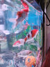 boxtech魚缸加熱棒恒溫器水族箱加熱增溫石英加熱器熱帶魚控溫器材迷你小 石英防爆加熱棒100瓦 曬單實(shí)拍圖