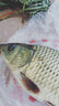 力丸 魚(yú)鉤綁好成品子線(xiàn)雙鉤金袖有刺套裝釣魚(yú)配件全套 【有刺】金袖1號+0.4子線(xiàn)，2號+0.6子線(xiàn) 曬單實(shí)拍圖