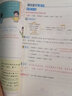 【斗半匠】2026課堂筆記四年級下冊上冊小學(xué)語(yǔ)文數學(xué)英語(yǔ)全套人教版課前預習課后練習復習隨堂課本講解黃岡學(xué)霸狀元筆記同步教材新版課堂筆記輔導書(shū) 【下冊2本】語(yǔ)文+數學(xué)（北師大版） 四年級 曬單實(shí)拍圖