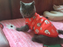 久久宠 猫衣服加绒秋冬装宠物保暖英短美短衣服新年喜庆猫咪两脚背心 招财猫-M-约5~7斤 实拍图