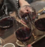 天鹅庄（AUSWAN）澳大利亚进口红酒 外交家干红葡萄酒原酒进口双支礼盒 实拍图