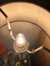 雷士照明（NVC） led灯泡e14小螺口尖泡 高亮节能 家用客厅餐厅吊灯水晶灯蜡烛泡 5W E14 暖黄光 单只装 实拍图