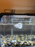 YEE鱼缸金晶超白鱼缸客厅桌面小鱼缸玻璃草缸龟缸家用小型生态金鱼缸   220*160*170【过滤套餐】 实拍图