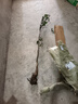 蘋果樹樹苗紅富士盆栽地栽南北方種植耐寒矮化嫁接果樹苗當年結(jié)果 冰糖心 4年大苗 蘋果樹苗 81cm(含)-110cm(含) 曬單實拍圖