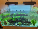 歐亞瑟外置過濾桶德國進(jìn)口魚缸過濾器過濾設(shè)備水族箱草缸烏龜缸凈水器 T600(內(nèi)置加熱棒)+11W殺菌燈 曬單實拍圖