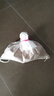 寵以沫（CHONG YIMO）【新糧】虎皮鸚鵡飼料鳥(niǎo)食玄鳳谷子牡丹糧食文鳥(niǎo)帶殼小米黃雀鳥(niǎo)糧 鸚鵡黃谷子【1.5斤裝】 曬單實(shí)拍圖