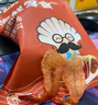 漁大叔 即食蝦干開背鳳尾烤蝦干營養(yǎng)休閑零食低脂高蛋白海鮮零食大禮包 香辣鳳尾蝦干/200g/大包裝更盡興 曬單實拍圖