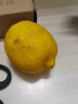 京愿 四川安岳黄柠檬  新鲜柠檬鲜果新鲜水果生鲜当季皮薄多汁大果 3斤 大果 实拍图