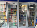 雅紳寶Arsenbo冷藏展示柜商用飲料柜美宜佳便利店冰柜超市立式冰箱冷柜水果蛋糕鮮花保鮮柜玻璃雙門風(fēng)冷 超越除霧雙門【1200*680*2000】 曬單實(shí)拍圖