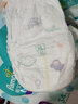幫寶適（Pampers） 清新幫拉拉褲 嬰幼兒尿不濕褲型一級幫學(xué)步褲男女寶寶通用 清新幫XL34片【12-17kg】 曬單實(shí)拍圖