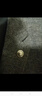 歐陽(yáng)先生一帆風(fēng)順男士胸針西裝領(lǐng)口胸花商務(wù)領(lǐng)針海軍風(fēng)徽章胸針別針胸章 龍圖騰 A26-206 曬單實(shí)拍圖