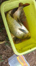 川澤快拆滑動(dòng)漂座硅膠快速旋轉可拆卸魚(yú)漂座大物路滑垂釣浮標配件 快拆漂座【大號10枚】袋裝 秒換不傷線(xiàn) 曬單實(shí)拍圖