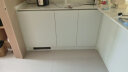 ASCOLI意式Ascoli卧式嵌入式冰箱 M8台下家用小型迷你冰柜嵌底式冰箱 238升 单冷藏 实拍图