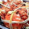 【活蟹】陽(yáng)澄近臺大閘蟹 鮮活特大螃蟹公蟹母蟹海鮮水產(chǎn)年貨禮盒 公4.5-4.8兩母3.5-3.8兩 4對8只 蘇州精挑蟹高檔禮盒 曬單實(shí)拍圖